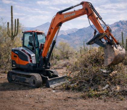 land-clearing